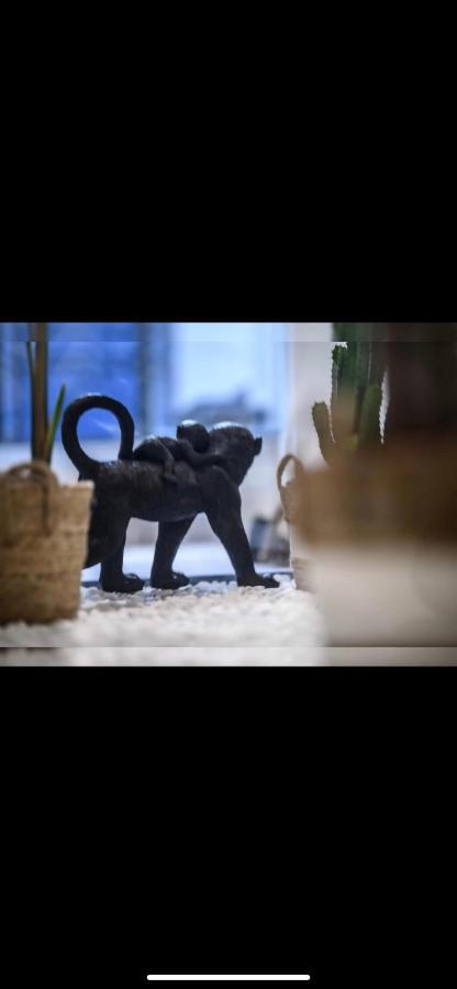 Le Boldieu- Duplex Beziers -Allee Paul Riquet- Wifi- Tv Connecte Zewnętrze zdjęcie
