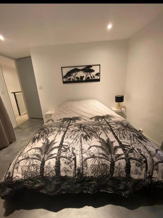 Le Boldieu- Duplex Beziers -Allee Paul Riquet- Wifi- Tv Connecte Zewnętrze zdjęcie